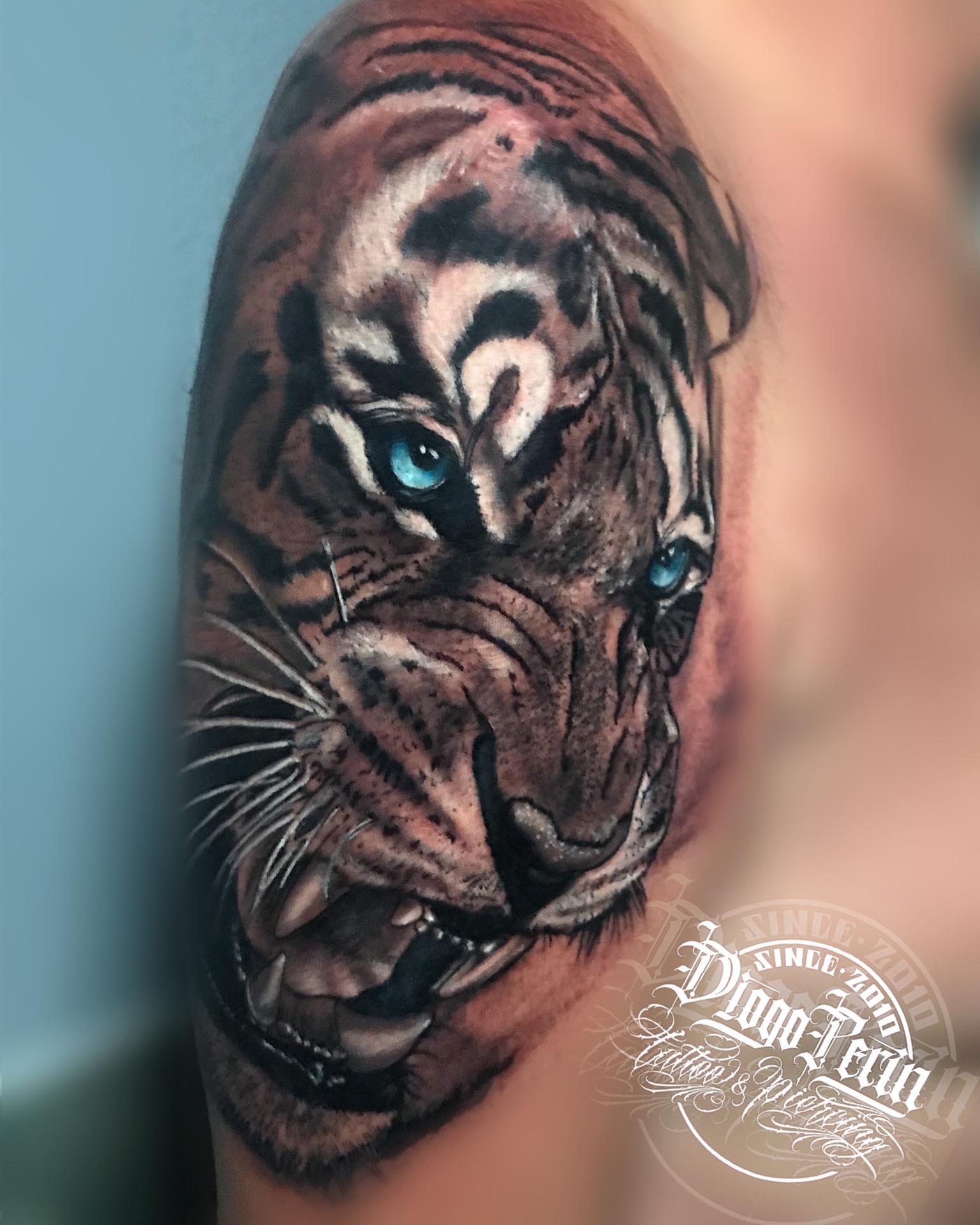 tigre, tiger, black and grey, realistic tattoo, realismo, alicante, santa pola, tattoos, tatuaje